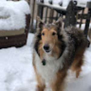 Meet your Posher, Miaya